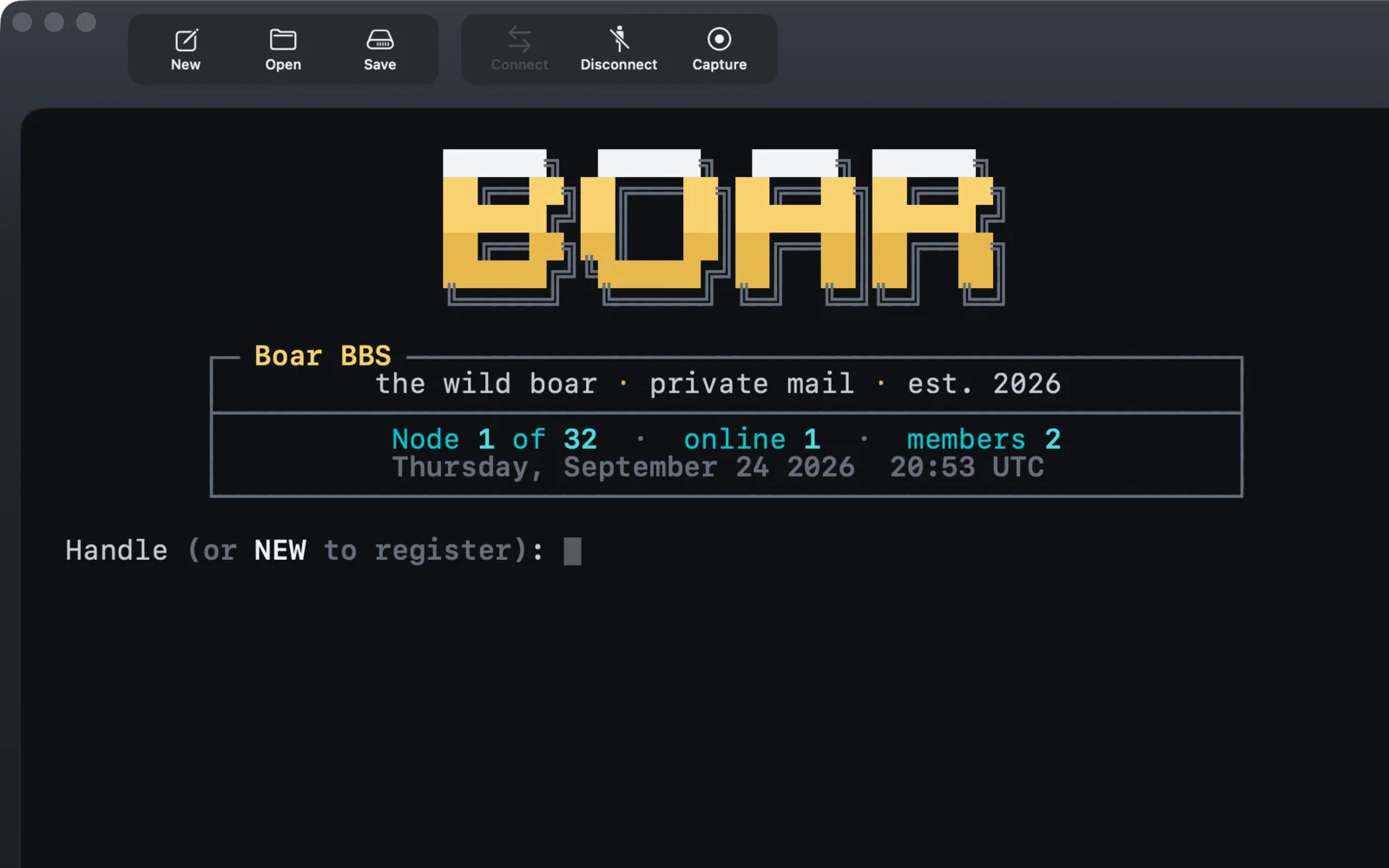 Vardaris connected to a BBS session